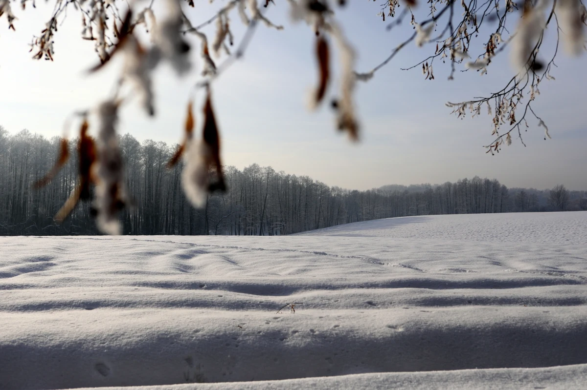 W środę, 21 grudnia, dokładnie o godz. 22:48 Słońce przejdzie przez punkt przesilenia zimowego, co definiuje rozpoczęcie nowej pory roku: astronomicznej zimy. Długie zimowe noce sprzyjają obserwacjom obiektów na niebie, np. gwiazdozbioru Oriona czy jasnych planet - zachęcają astronomowie. 
