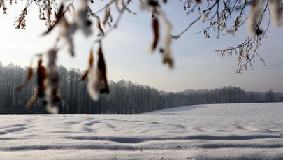 Kiedy początek astronomicznej zimy? 