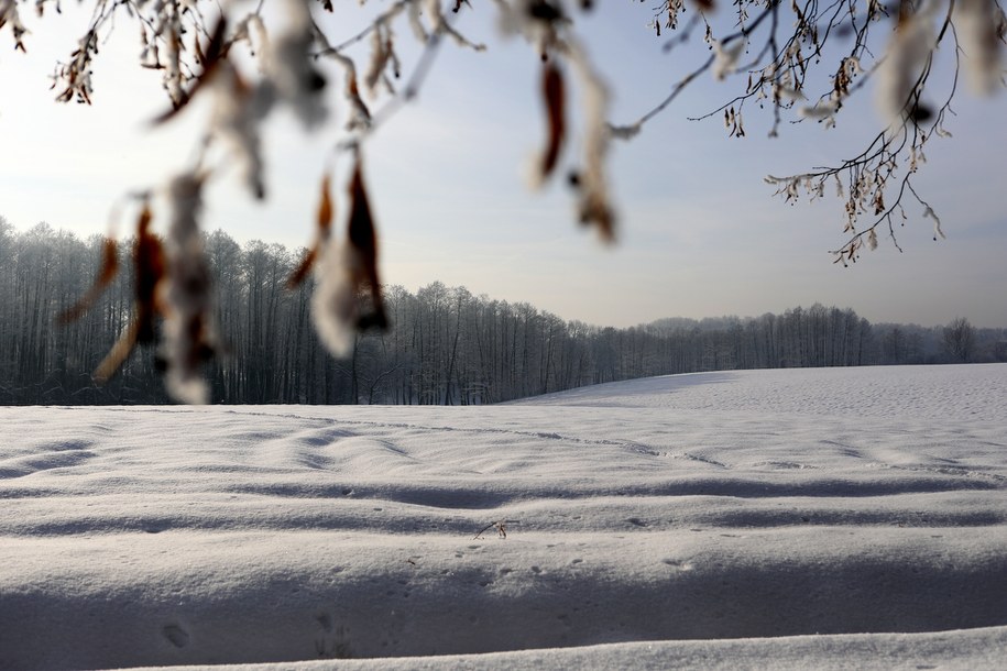 /Zbigniew Meissner /PAP