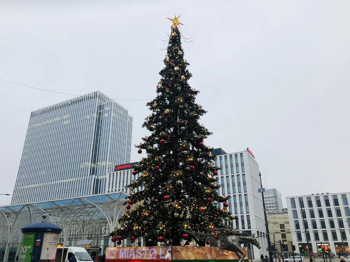 "Godzina dla Ukrainy", czyli wygaszone iluminacje świąteczne. Takim gestem Łódź włącza się do międzynarodowej akcji solidarności z walczącą Ukrainą. Dziś o 20 świąteczne dekoracje zostaną wyłączone także w: Warszawie, Gdańsku, Katowicach, Krakowie, Poznaniu, Tychach, Kielcach i Rzeszowie.