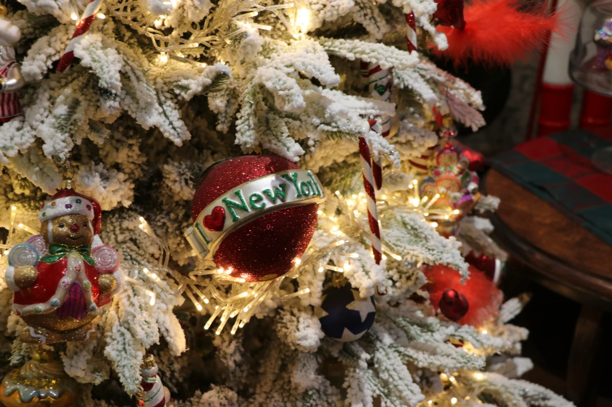 Ponad 9 tysięcy eksponatów zgromadzili już twórcy Muzeum Bombek Choinkowych w Nowej Dębie na Podkarpaciu. W ciągu roku to miejsce odwiedza około 30 tysięcy osób. Przed świętami Bożego Narodzenia trudno znaleźć wolny termin dla grup zorganizowanych. Różnobarwna i różnokształtna oferta kusi młodszych i starszych. "Mamy przeróżne ozdoby: formowane, okrągłe, tradycyjne bombki, ozdoby wolno dmuchane, które wykonuje się bez form aluminiowych, a nawet imitacje jaj faberge i klejonki, czyli szklane bombki choinkowe, które są sklejane na gorąco na płomieniu palnika" - wylicza Mateusz Biliński, dyrektor placówki.