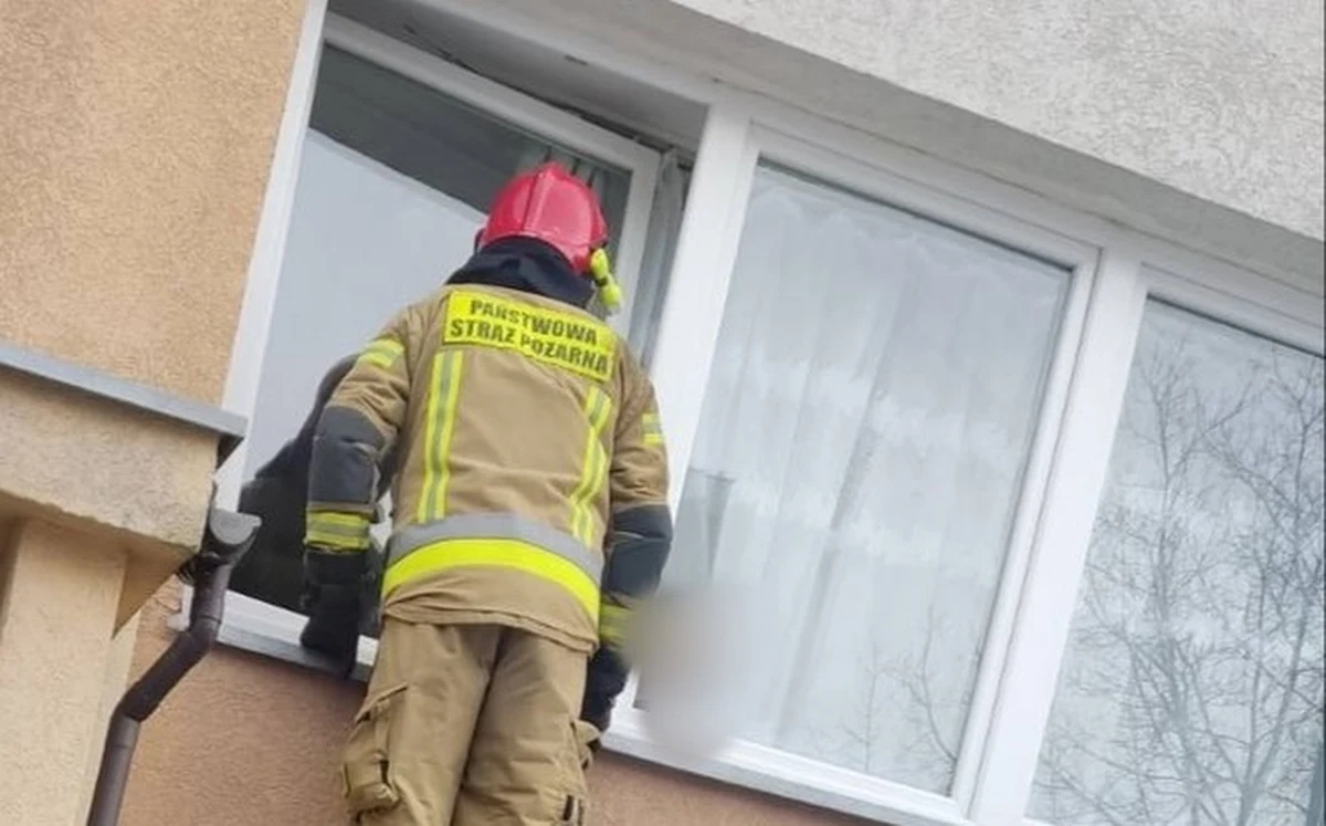 5-letni, zapłakany chłopiec stojący w oknie na parterze bloku - taki widok zaniepokoił mieszkańca Oławy na Dolnym Śląsku. Wezwał policję. Okazało się, że maluch był sam w domu - nie po raz pierwszy. 