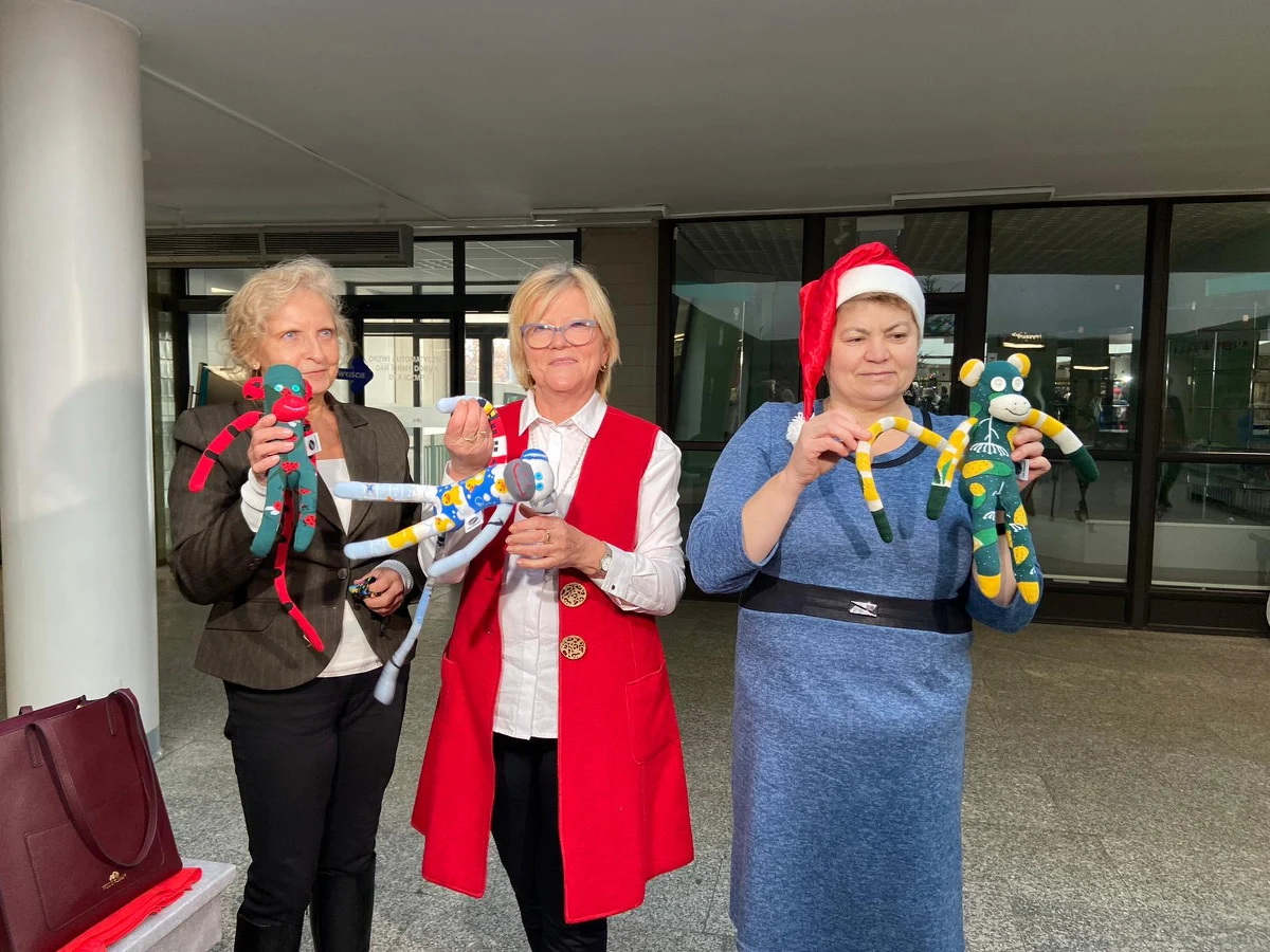 Potrzeba było 365 dni, aby powstało tysiąc przytulanek. Miękkie małpki wyszły spod rąk łódzkich seniorek, które chciały sprawić radość chorym maluchom. Podarunki trafiły do dzieci w szpitalu Instytutu Centrum Zdrowia Matki Polki w Łodzi.