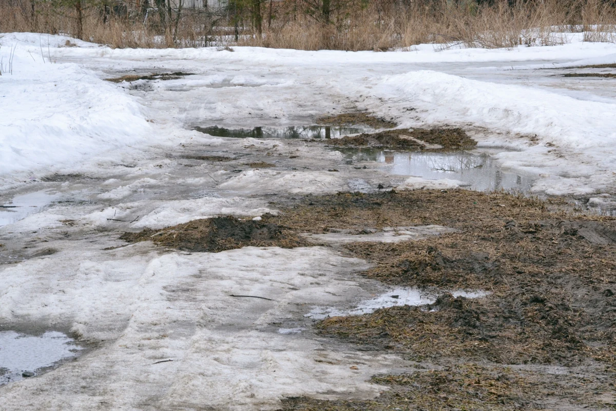 Podnosi się poziom wody w rzekach w województwie śląskim. To skutki roztopów, spowodowanych przez odwilż. W trzech miejscach rzeki przekroczyły już stany ostrzegawcze.