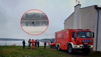 Łoś utknął na Jeziorze Ryńskim. Z pomocą ruszyli strażacy