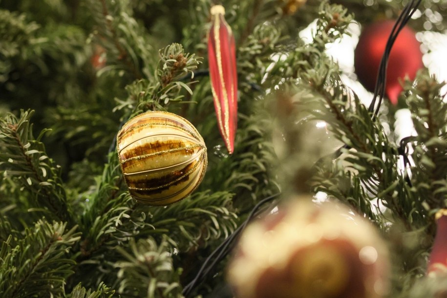 /Leszek Szymański /PAP