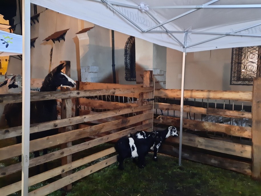 /Marek Wiosło /RMF FM