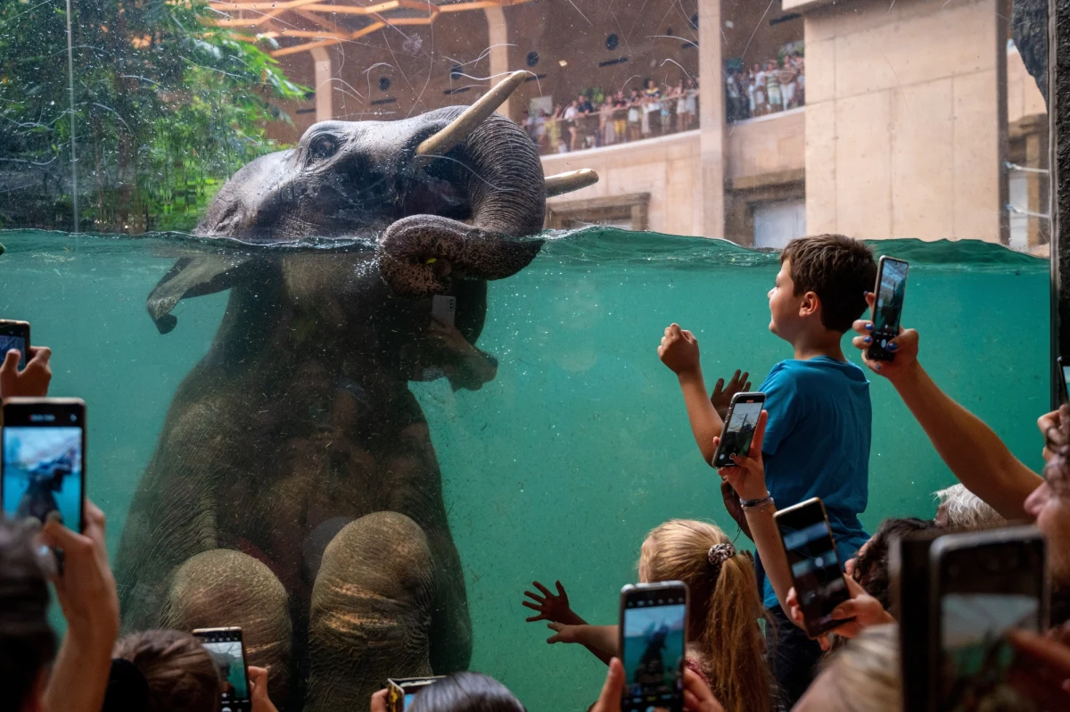 Otwarcie Orientarium, Light Move Festival, 100 dni festiwalowych w Atlas Arenie, rekordowe obłożenie hoteli. Łódź w mijającym roku odwiedziło około 2,5 miliona turystów.