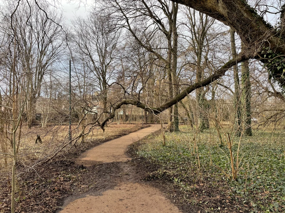Wraz z początkiem nowego roku mieszkańcom Krakowa udostępniony zostanie kolejny zielony teren. Aktualnie trwa wielkie sprzątanie znajdującego się w centrum parku Jalu Kurka, który niedawno miasto nabyło od salwatorianów.