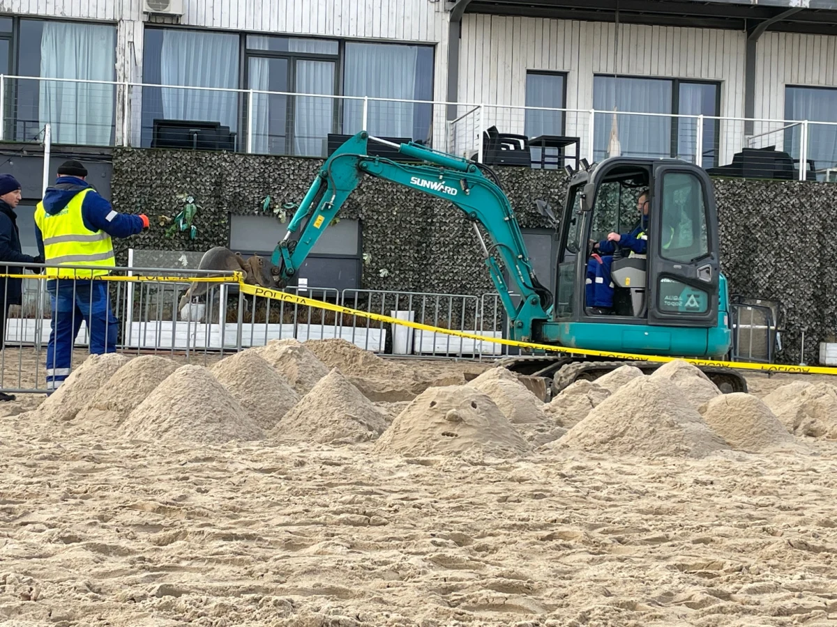 Albo chaotyczne szukanie po omacku, albo działanie, które ma wywołać określoną reakcję - takie informacje o ostatnich ruchach w sprawie Iwony Wieczorek docierają do nas w nieoficjalnych rozmowach. Od kilku dni media informują o kolejnych działaniach w tej sprawie, tym razem prowadzonych w budynku dawnej Zatoki Sztuki w Sopocie.