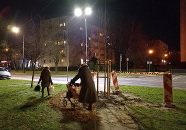 Drzewo na środku chodnika 