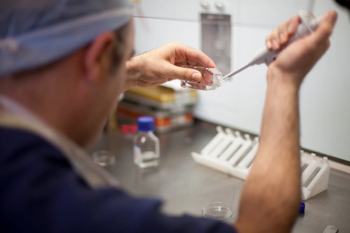 ​Rozstrzygnięty został konkurs na operatora programu in vitro, który będzie w Rzeszowie realizowany od stycznia przyszłego roku do końca 2025 r. Program będzie finansowany z budżetu miasta, samorząd przeznaczył na niego 650 tys. zł.