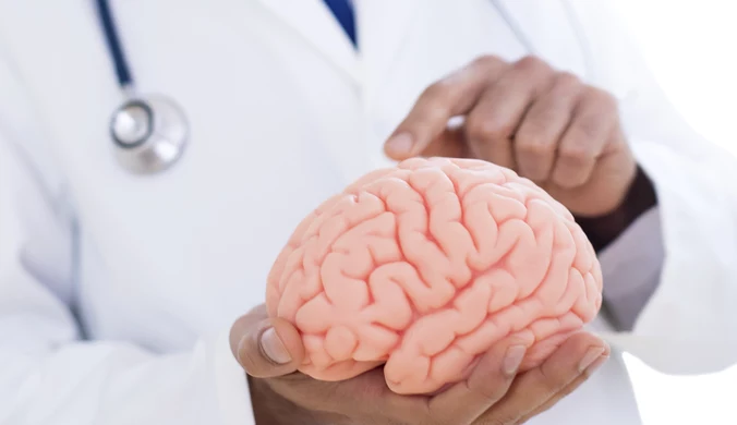 Badanie: Którą część mózgu odpowiada za wrodzoną inteligencję?