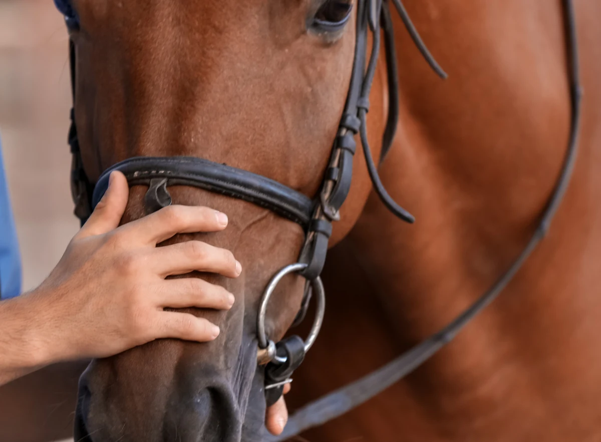 ​Wybuch petardy w Rabce-Zdroju spłoszył dwa konie zaprzężone do dorożki, którą podróżowało 12 turystów. Troje z nich doznało lekkich obrażeń - poinformował rzecznik małopolskiej policji Sebastian Gleń.
