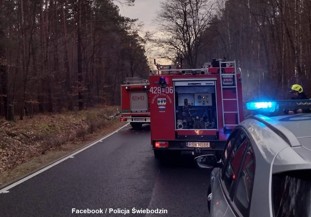 Dwie osoby zginęły w wypadku drogowym w Przełazach (woj. lubuskie) - przekazał oficer prasowy KPP w Świebodzinie. Droga była zablokowana przez kilkadziesiąt minut.