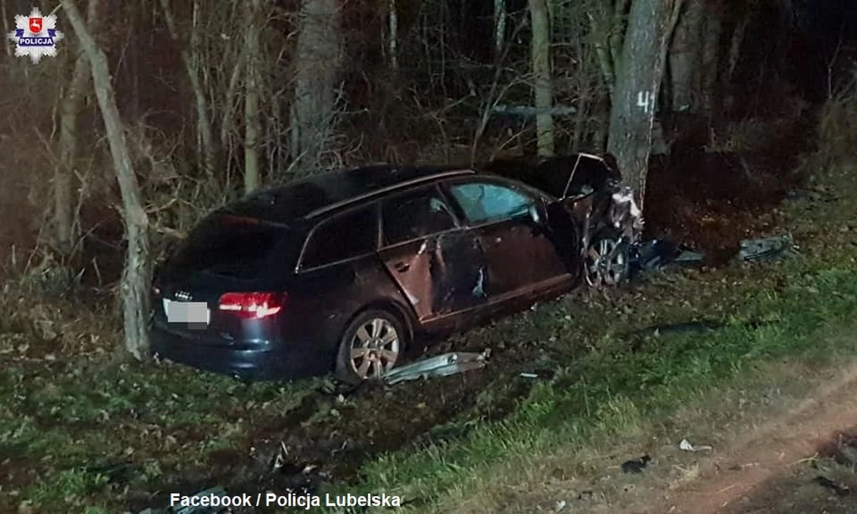 48-letni mężczyzna zginął w wypadku w miejscowości Rogoźnica-Kolonia (woj. lubelskie) na trasie z Międzyrzeca Podlaskiego do Białej Podlaskiej. Trzy osoby zostały zabrane do szpitala.
