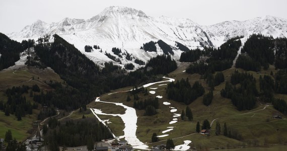 ​Wiosenna temperatura psuje sezon zimowy w szwajcarskich Alpach. Właściciele obiektów narciarskich liczą straty i myślą, jak - mimo wszystko - przyciągnąć turystów. Śniegu jest tak mało, że stoki były tej zimy otwarte przez jedynie dwa dni.