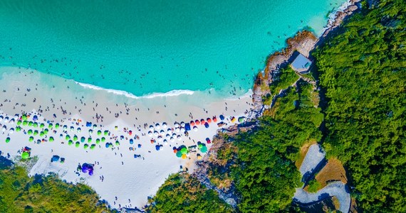 Grupa kaszalotów wyrzuconych przez Ocean Atlantycki na plażę Prainha w Arraial do Cabo, na południowym wschodzie Brazylii, wywołała panikę wśród spędzających tam noworoczny urlop wczasowiczów. Plażowicze myśleli, że doszło do ataku rekinów.