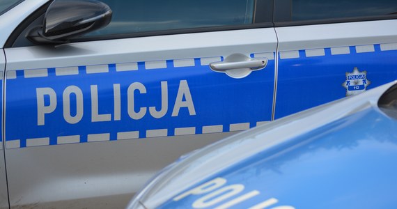 Jest śledztwo w sprawie wypadku radiowozu w podwarszawskich Dawidach Bankowych. Pojazdem, poza policjantami, podróżowały dwie nastolatki mające 17 i 19 lat. Podczas jazdy samochód uderzył w drzewo. Poszkodowane zostały obie dziewczyny i funkcjonariusze. Jak dowiedział się dziennikarz RMF FM, pruszkowska policja przekazała prokuraturze wszystkie dokumenty w sprawie incydentu. 