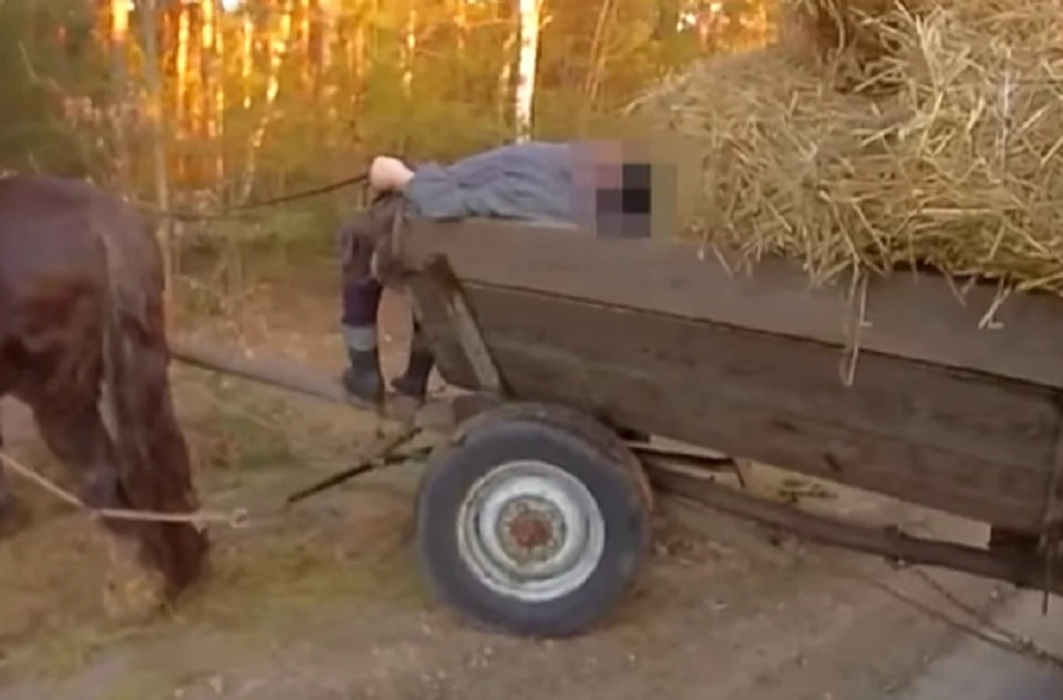 Trzy promile alkoholu w organizmie miał 62-letni mieszkaniec powiatu ostrowieckiego, który w tym stanie prowadził furmankę. 