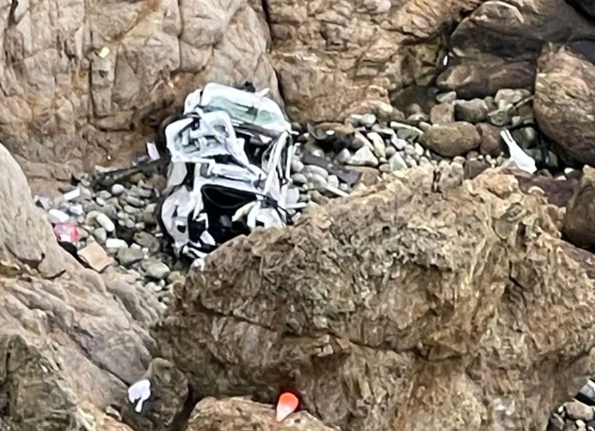 Cztery osoby, w tym dwoje dzieci, przeżyły stoczenie się ich samochodu ze skalistego klifu w pobliżu tzw. Devil's Slide w Kalifornii. Samochód spadł z wysokości ponad 75 metrów i rozbił się o skały. Kierowca tesli został zatrzymany. Postawiono mu zarzut próby zabójstwa. Okazało się bowiem, że celowo zjechał z drogi, ponieważ chciał popełnić tzw. samobójstwo rozszerzone. 