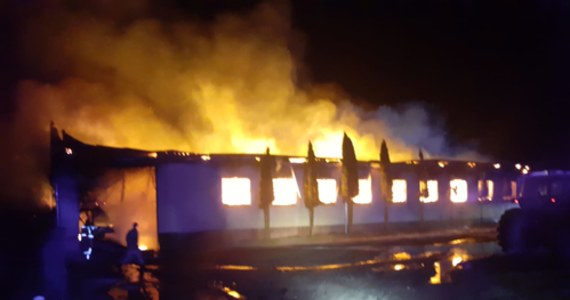Na ponad cztery miliony złotych wstępnie oszacowano straty po pożarze stolarni i hali magazynowej. Ogień pojawił się we wtorek w miejscowości Jedrychowo koło Iławy w Warmińsko-Mazurskiem. 
