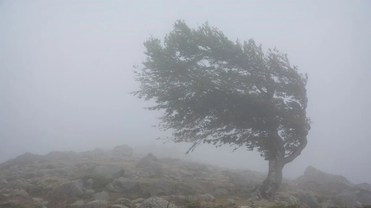 ​Do Polski nadchodzi niż znad Wysp Brytyjskich. Przyniesie ze sobą silny wiatr - informuje Instytut Meteorologii i Gospodarki Wodnej. Na razie wydał ostrzeżenia pierwszego stopnia między innymi dla Dolnego Śląska.