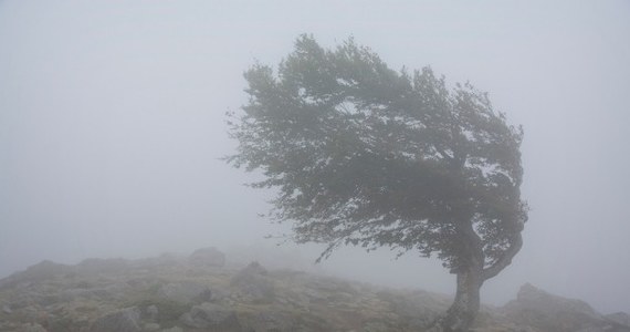 ​Do Polski nadchodzi niż znad Wysp Brytyjskich. Przyniesie ze sobą silny wiatr - informuje Instytut Meteorologii i Gospodarki Wodnej. Na razie wydał ostrzeżenia pierwszego stopnia między innymi dla Dolnego Śląska.