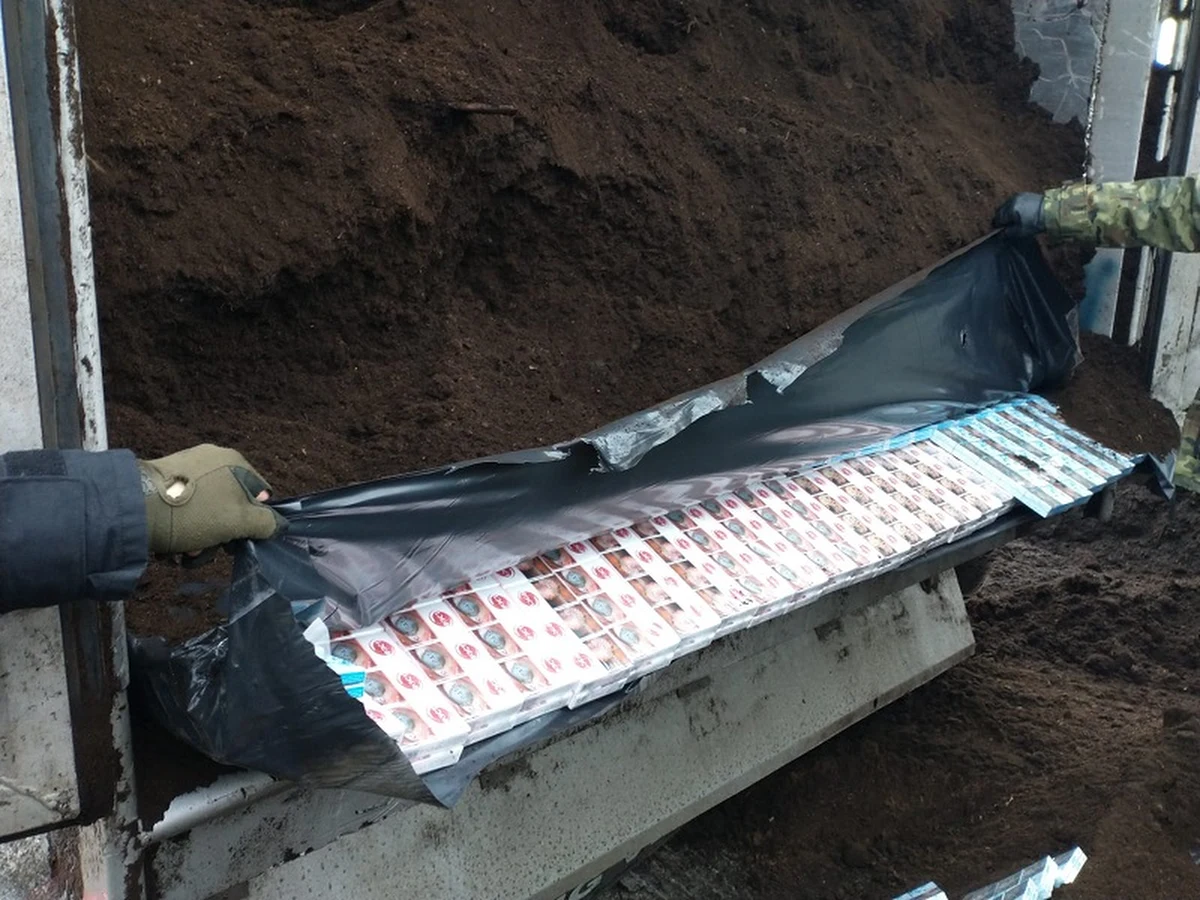 15 osób odpowie przed sądem za przemyt papierosów z Białorusi. W nielegalny biznes zaangażowany był ojciec i dwie córki, a pomagał im Mołdawianin, który zarejestrował na Mazowszu firmę rzekomą zajmującą się sprowadzaniem do Polski torfu.

