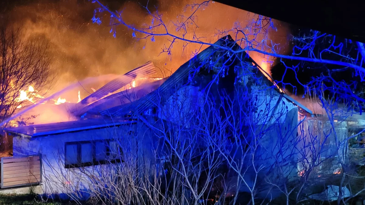 W nocy spłonęła hala stolarni w Simoradzu na Śląsku Cieszyńskim. Na szczęście nikomu nic się nie stało. Strażacy uratowali m.in. stojący obok budynek mieszkalny. W akcji gaszenia brało udział ponad stu ratowników - podał rzecznik cieszyńskich strażaków mł. bryg. Michał Pokrzywa.

