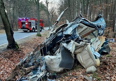 Jaguar roztrzaskał się o drzewo. Zginęli 17 i 15-latek