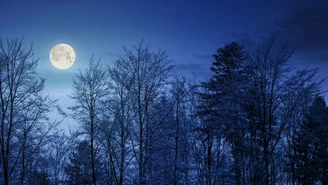 Pełnia Księżyca w marcu 2023. Kiedy na niebie pojawi się Robaczy Księżyc?