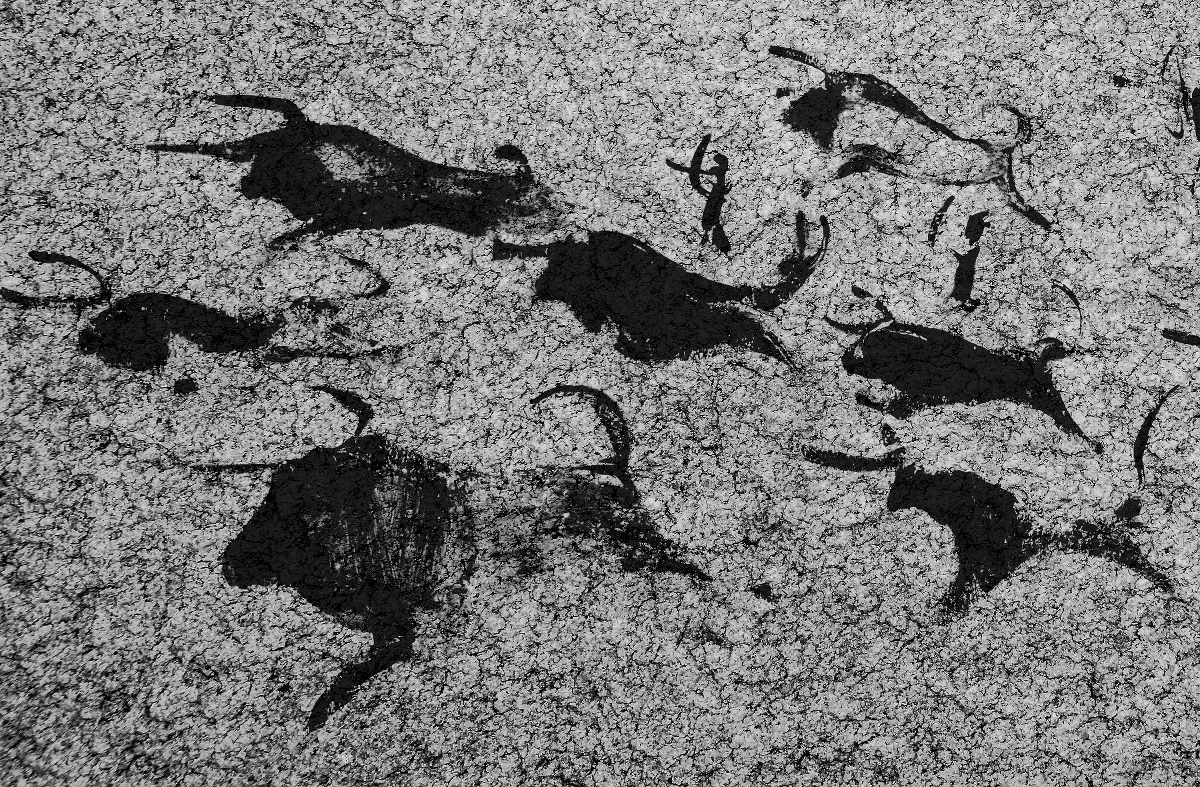 Ben Bacon rozwiązuje tajemnice znaków, które 20 tysięcy lat temu pojawiały się w jaskiniach przy malowidłach zwierząt - to sekwencje pozornie przypadkowych kropek i kresek. 