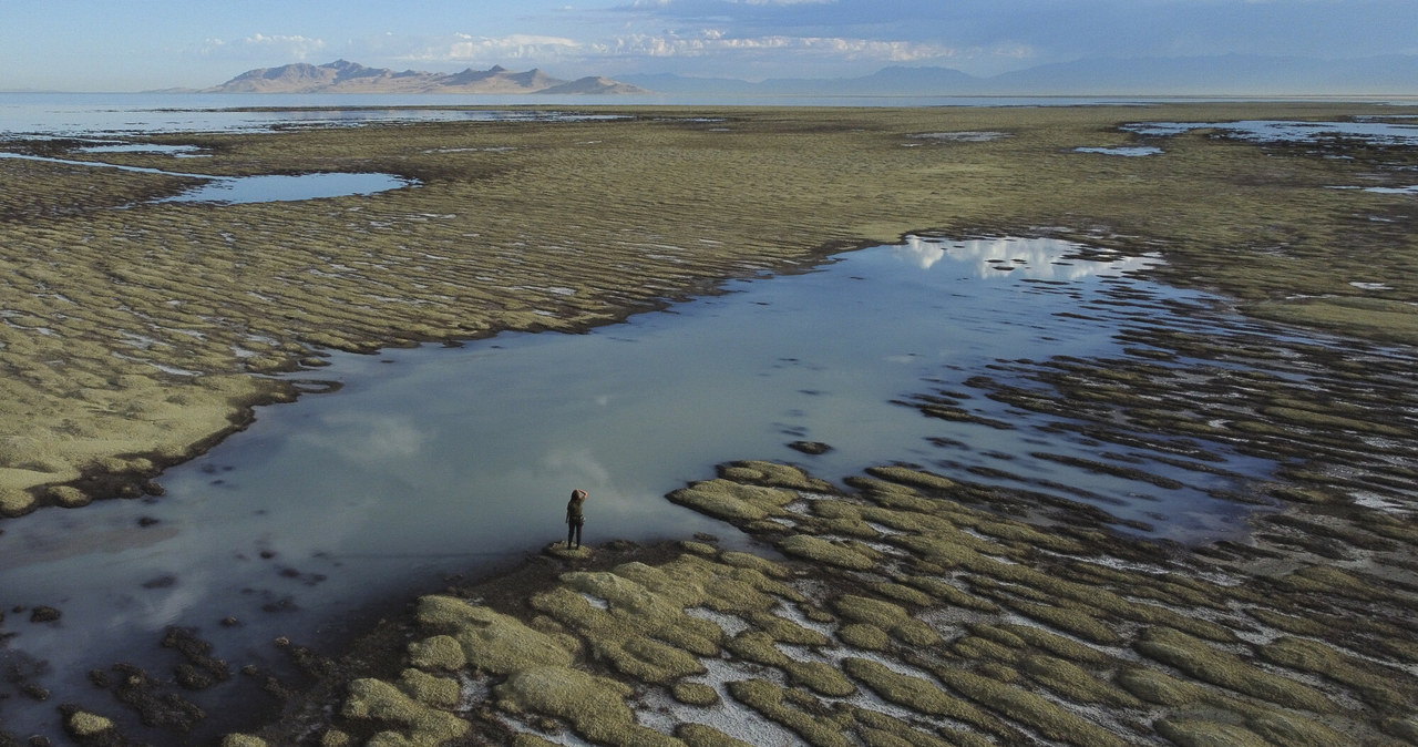 Naukowcy alarmują, że drugi najbardziej zasolony po Morzu Martwym akwen świata, czyli amerykańskie Wielkie Jezioro Słone, jest na skutek zmian klimatu w tak fatalnej kondycji, że bez natychmiastowej interwencji zniknie w ciągu dosłownie kilku lat. 