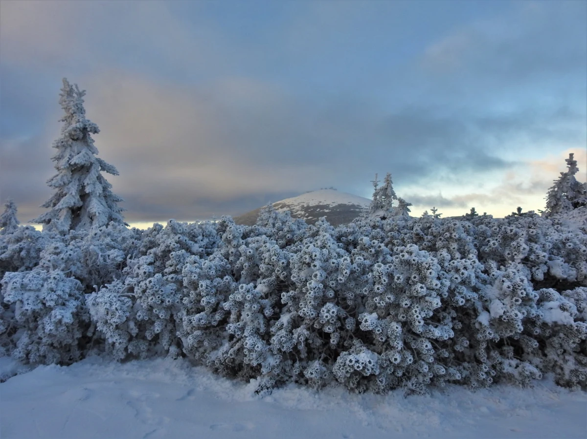 ​Poprawiły się warunki w Karkonoszach. Znacząco osłabł wiejący w ostatnim czasie wysoko w górach bardzo silny wiatr. Ratownicy GOPR ostrzegają jednak przed śliskimi szlakami.