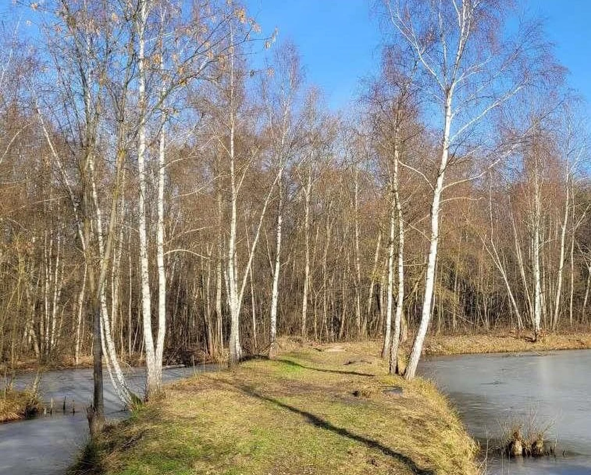 W 2023 roku – Roku Włodzimierza Tetmajera – w Krakowie powstanie park rzeczny jego imienia. Teren został przekazany wykonawcy i wkrótce ruszą prace. Wartość inwestycji to prawie 6,3 mln zł.
