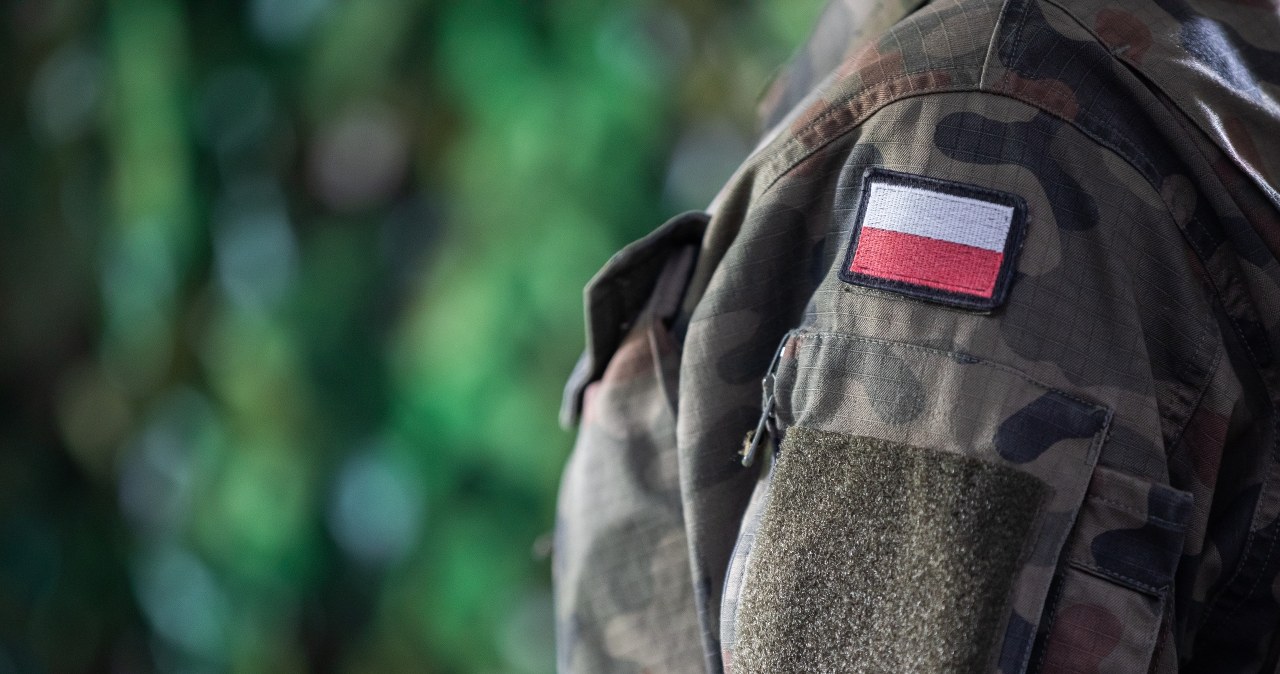 Rozwój Sił Zbrojnych RP. 500 tys. żołnierzy, wiceszef MON podał datę