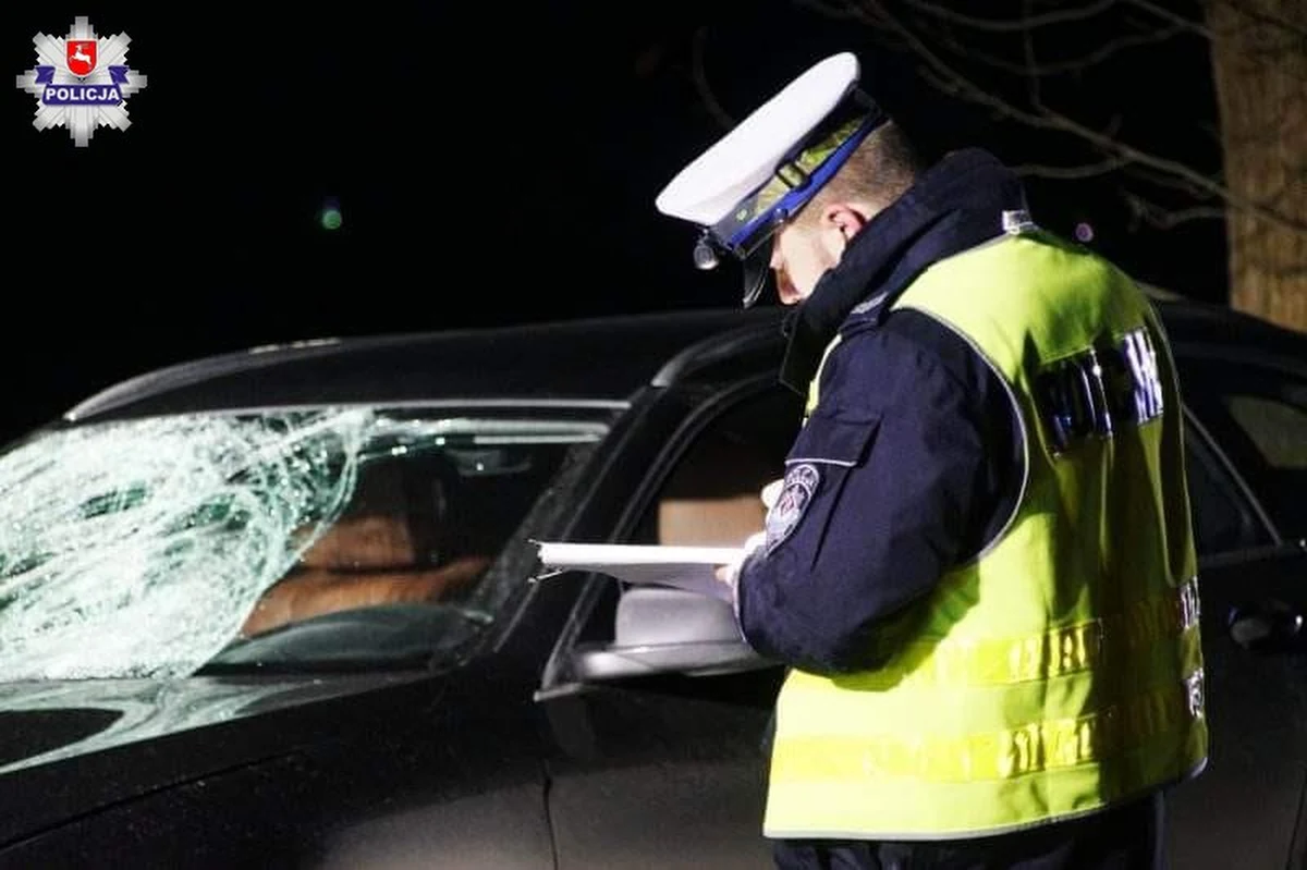 W szpitalu zmarł 33-latek potrącony przez samochód w poniedziałek wieczorem na ul. Krężnickiej w Lublinie. Do wypadku doszło na nieoświetlonym odcinku drogi poza terenem zabudowanym. Według ustaleń policji, pieszy nie miał odblasków.

