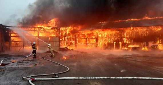 26 jednostek straży walczy z pożarem tartaku w miejscowości Grodziec (pow. koniński, woj. wielkopolskie). We wtorek przed południem ogień objął halę produkcyjną zakładu.