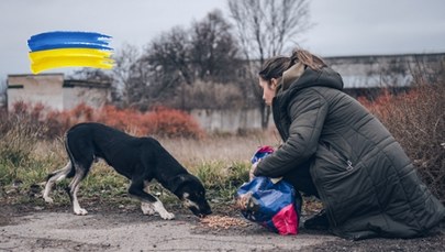 Ekostraż po raz kolejny wyjeżdża do Ukrainy po ranne zwierzęta