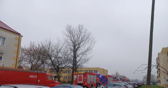 15 dzieci i 9 osób personelu ewakuowano po pożarze tablicy interaktywnej w szkole podstawowej w Łęczycy w łódzkiem. Nie ma ofiar, ani rannych - podał rzecznik KW PSP mł. bryg. Jędrzej Pawlak.