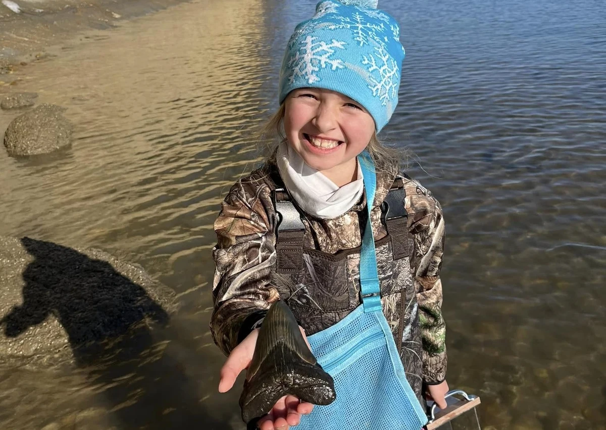 9-letnia Molly Sampson dokonała na plaży niezwykłego odkrycia. Podczas spaceru z rodzicami znalazła ząb rekina Megalodona, który wymarł miliony lat temu.