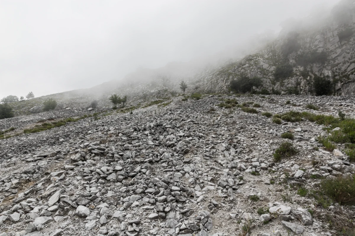 Na 50 milionów euro oszacowała branża turystyczna we włoskich regionach w Apeninach straty z powodu braku śniegu w minionych tygodniach. Rekordowo ciepła dotąd zima jest utrapieniem właścicieli hoteli, lokali gastronomicznych i infrastruktury narciarskiej w Toskanii, Emilii-Romanii, Abruzji, Lacjum.