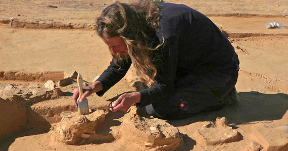 ​Obok starożytnego paleniska w Izraelu znaleziono osiem strusich jaj, których wiek szacuje się na ponad 4 tys. lat - podaje portal bbc.co.uk. W czasach prehistorycznych jaja strusie były używane nie tylko jako pokarm, ale także jako naczynia pogrzebowe i przedmioty luksusowe.