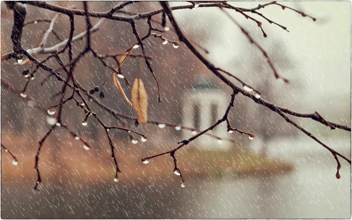 W niedzielę na wschodzie Polski spadnie więcej deszczu, a w całym kraju będzie wiał porywisty wiatr, osiągający prędkość do 60 km/h - powiedział PAP Jakub Gawron, synoptyk Centralnego Biura Prognoz IMGW-PIB. 