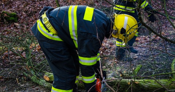 Ponad 50 razy interweniowali strażacy w nocy z soboty na niedzielę w rejonie Bielska-Białej i na Śląsku Cieszyńskim przy szkodach wyrządzonych przez wiatr. Synoptycy z IMGW prognozowali, że w porywach przekroczy 75 km na godzinę.