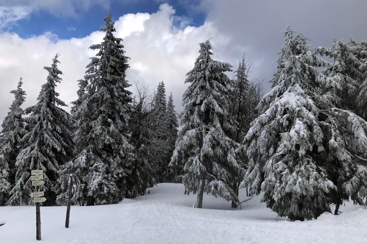 Trudne warunki do uprawiania turystyki pieszej panują w niedzielę w Karkonoszach. Wieje bardzo silny wiatr, a w wyższych partiach gór na szlakach zalega pokryta świeżym śniegiem warstwa lodu. 