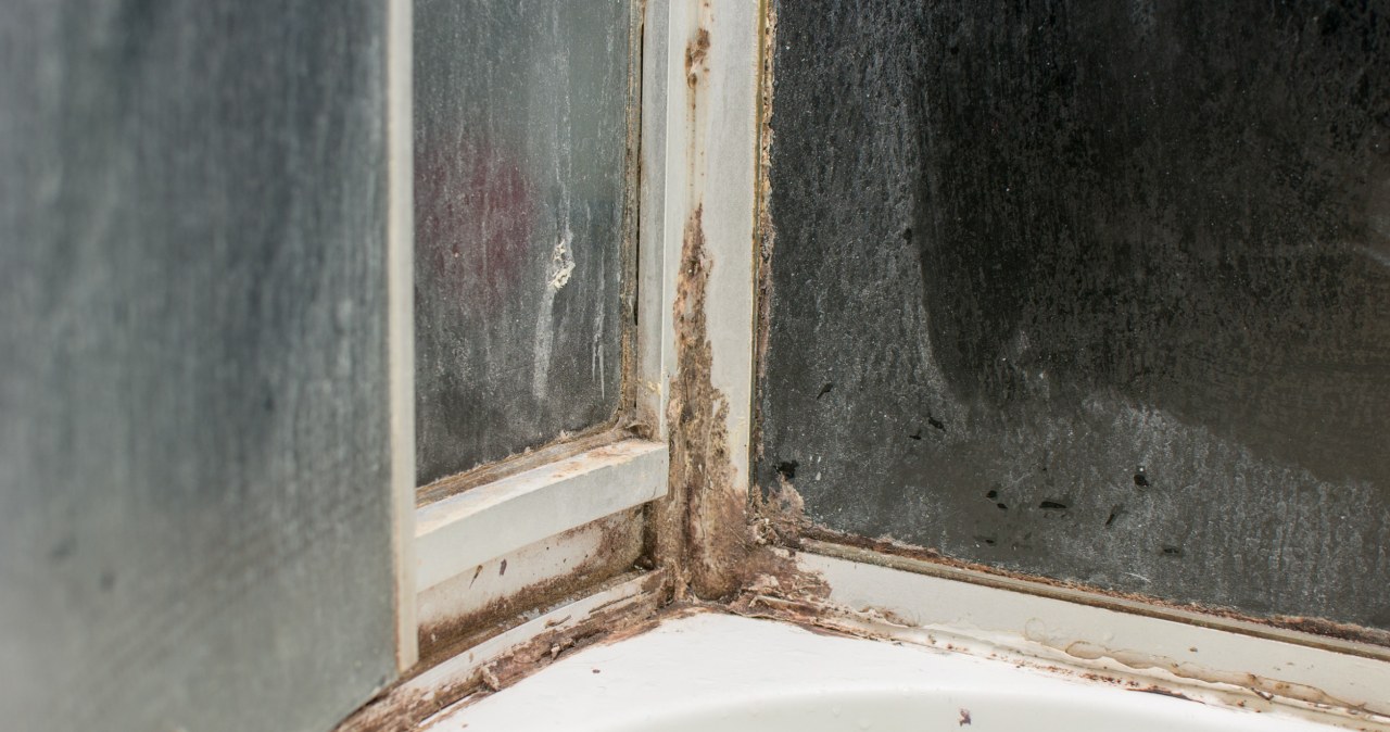 Zapomnij o occie. Tak wyczyścisz kabinę prysznicową na błysk bez brzydkiego zapachu