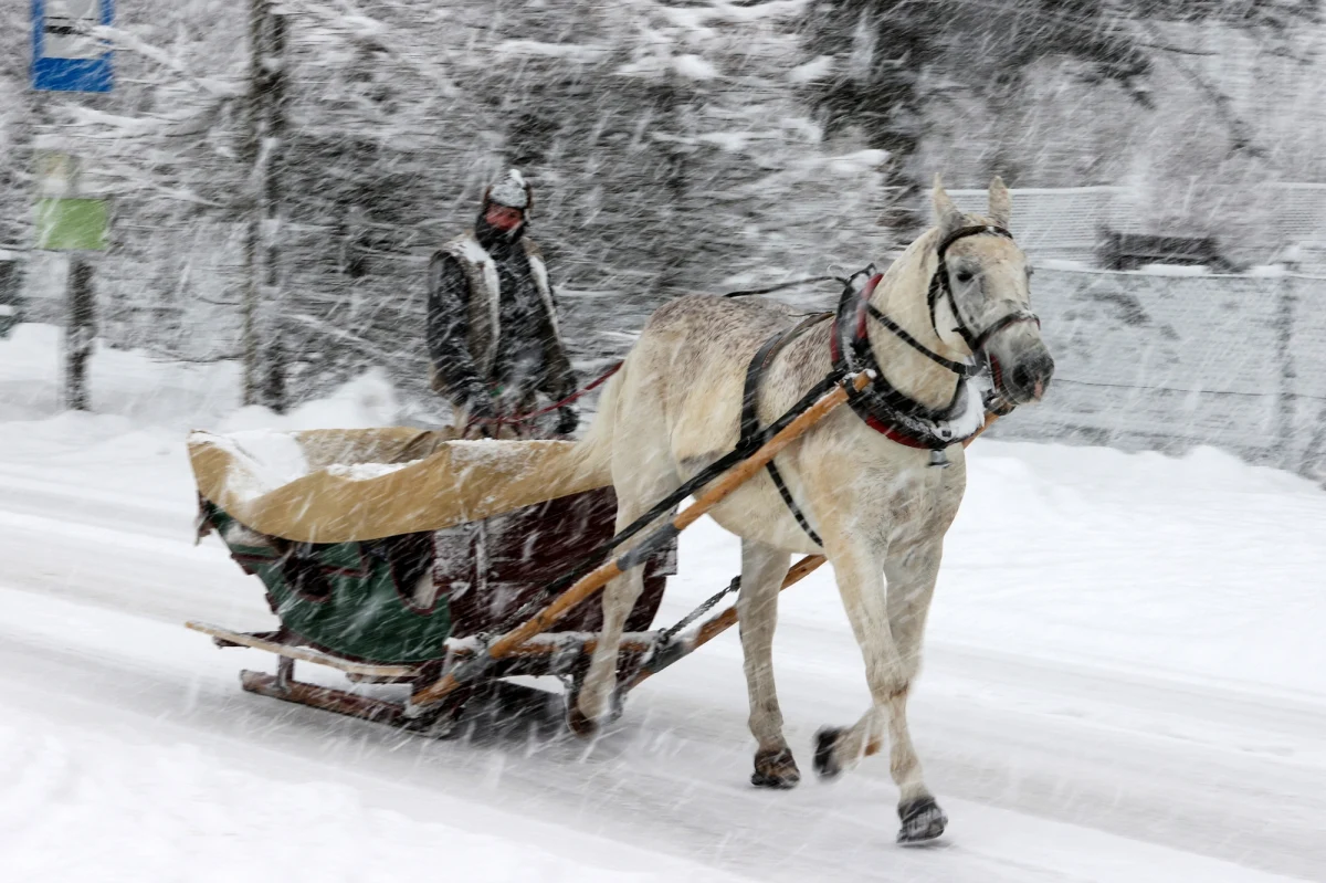 Wreszcie zaczyna się prawdziwa zima. Będą śnieżyce i siarczyste mrozy. Synoptycy przewidują na południu kraju nawet do minus 15 stopni Celsjusza. Już dziś w Sudetach dosypie 12 cm świeżego śniegu.