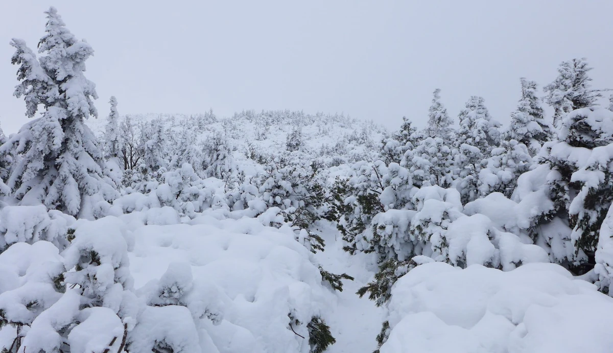 Zima ponownie zagościła w Karkonoszach. Jak informuje GOPR na Śnieżce spadło około 25 centymetrów śniegu. Padać ma także dzisiaj. Goprowcy ostrzegają, że na szlakach jest bardzo ślisko.
